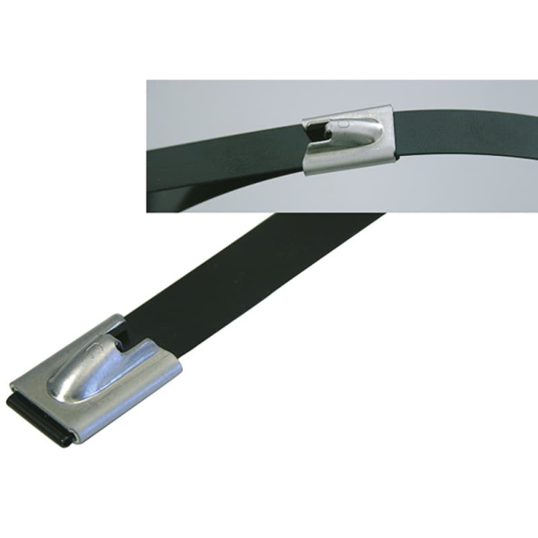 262962/290 Нержавеющие стальные кабельные стяжки SS 316 290x12 mm (100шт) (Haupa)
